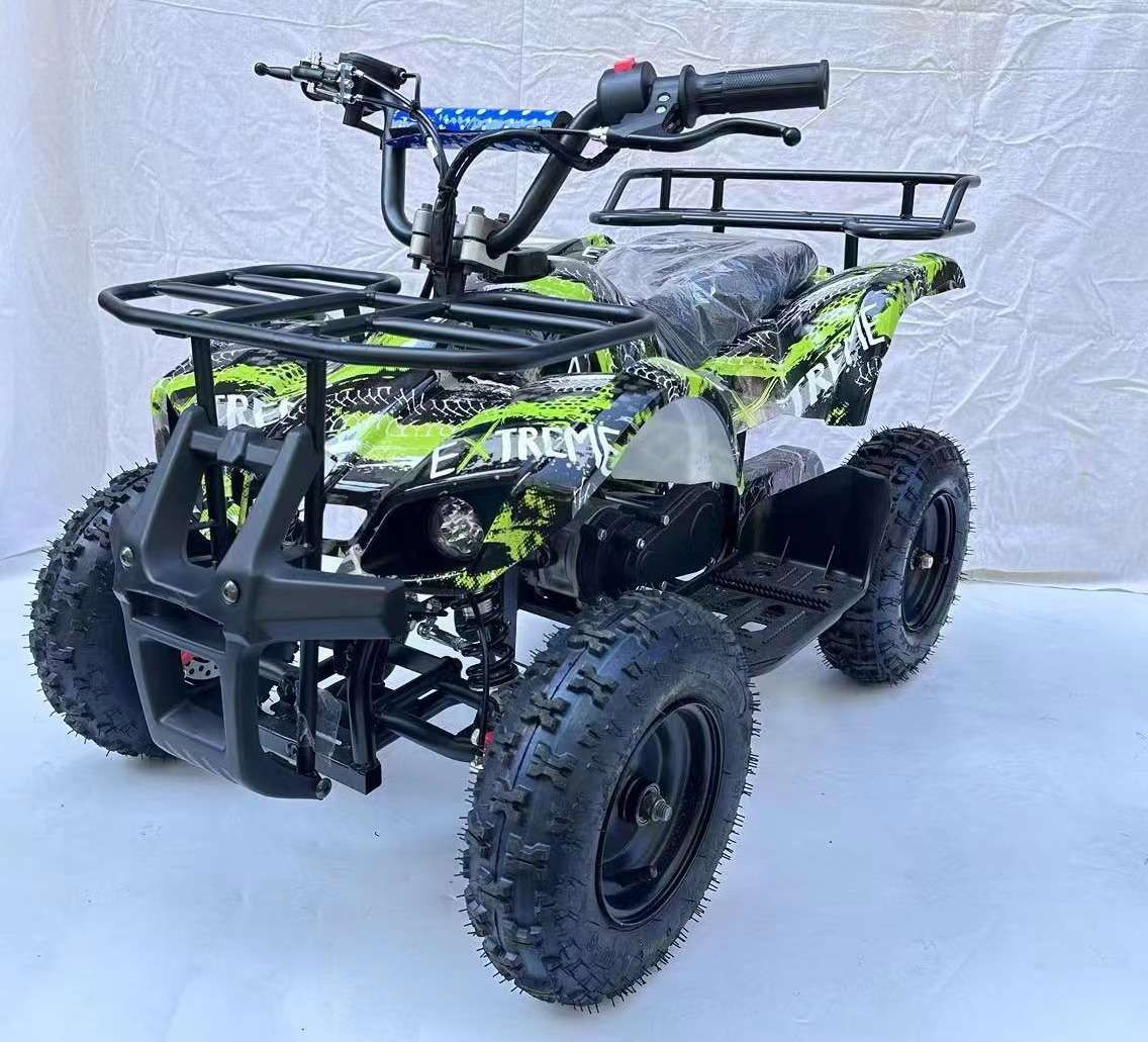 Rugged Kids Mini-Quad